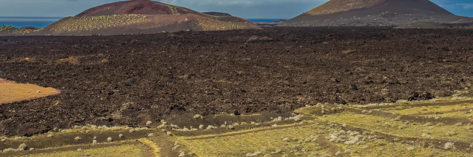 Vulkaniskt landskap på Lanzarote