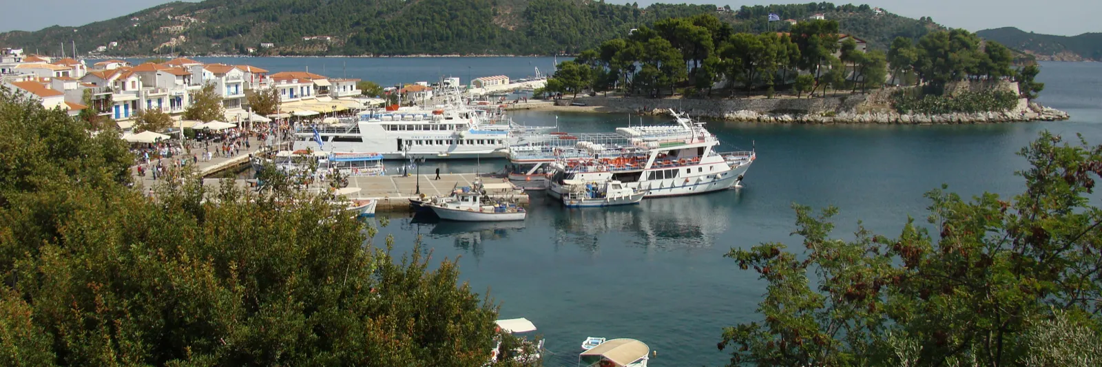Hamnen och de gröna kullarna på Skiathos